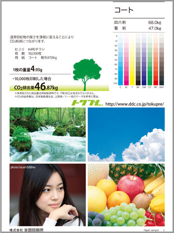 20100726-paper-sample-03.jpg