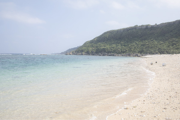 元画像