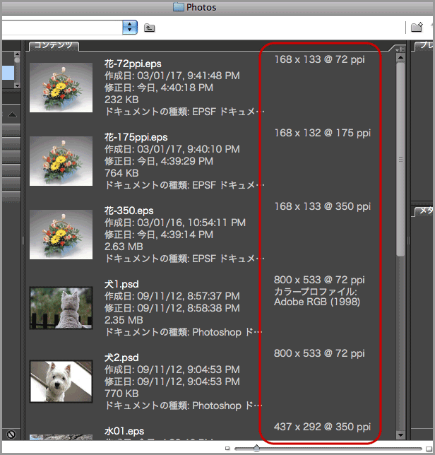 Bridge CS3で解像度確認(3)