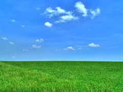 青空と草原 RGB