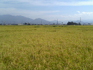 ine20070914-s.jpg