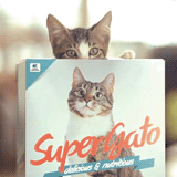 パッケージを袋から箱に変えたらバカ売れしたキャットフード「SUPERGATO」（mifdesign_antenna）