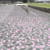 競馬場への道を桜吹雪で染める「桜の馬券」（DesignWorks）
