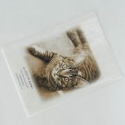 今回は昨日の猫の絵柄に花の柄を合わせてみました