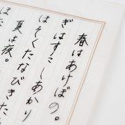 文章が浮かび上がって見えるグラシン原稿用紙
