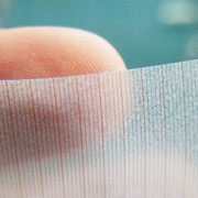 採取・標本・研究のお手伝い 目盛り罫線入りグラシンペーパー